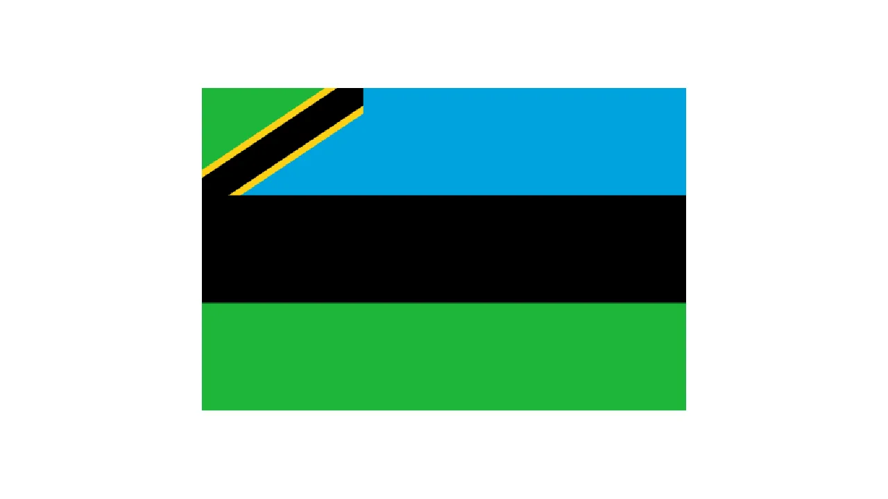 Zanzibar Flag (1)